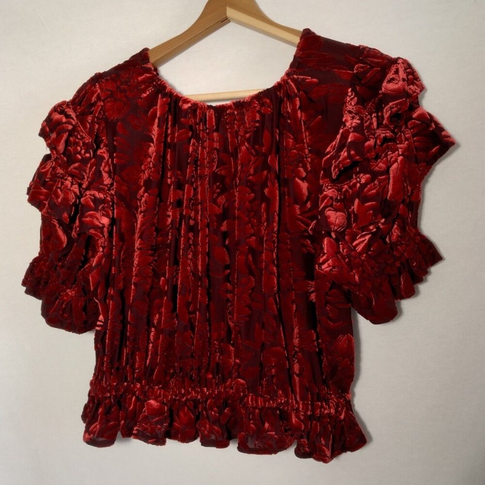 Free People Velveteen Dream Shirt S Red Floral Velour Crop Peasant Ruffle V Neck - Picture 5 of 16